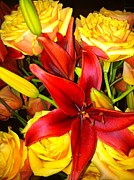 Serendipity Photograph by Juliette Becker