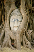Serene Buddha Head Photograph by Travel Essayist