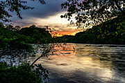 Great Blue Heron at Sunset Photograph by Anthony Hightower