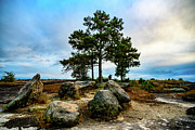 Shade on Arabia Mountain Photograph by Anthony Hightower