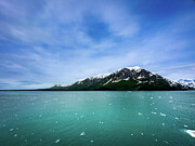 Shades of Blue Photograph by Dodie Ross