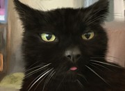 Shanti Digital Art by Jason Cardwell