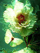 Shelter for the delicate Digital Art by Gradify Creations