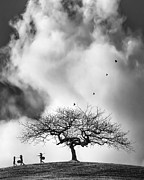 Sheltering Sky II Photograph by Sofie Conte