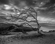 Shipwreck Beach Photograph by Michael DeGrenier