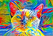 Siamese cat face in the sun - colorful zebra pattern painting Digital Art by Nicko Prints