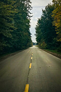Silent Pathways Photograph by Travel Essayist