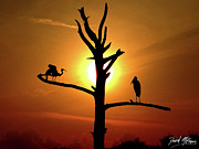 Silhouette Sunset Photograph by David McKinney