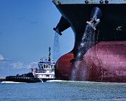 Size Does matter Photograph by Rene Vasquez