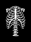 Skeleton Ribs Bones Digital Art by Flippin Sweet Gear