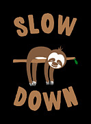 Slow Down Sloth Digital Art by Flippin Sweet Gear