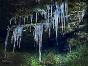 Smoky Mountains Seasons Battle Photograph by Theresa D Williams Smoky Mountains
