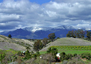 Snow in Santa Barbara Photograph by Barbara Siegel