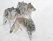 Snow Pack Painting by Mark Ray