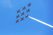 Snowbirds Photograph by Linda Ryma