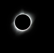 Solar Eclipse Corona Ring Photograph by Bob Falcone