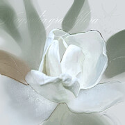 Southern Magnolia Digital Art by Gina Harrison