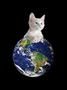 Space Kitten Ruler of Earth Funny Digital Art by Flippin Sweet Gear