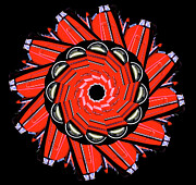 Spiral Caddy Photograph by William Gunn