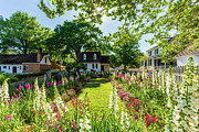 Spring Flowers in May at the Taliaferro-Cole Garden Photograph by Rachel Morrison