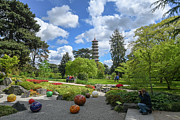 Spring sunshine at Kew Gardens Photograph by Andrew Lalchan