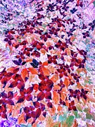 Springtime Dogwood Blossoms Digital Art by Bruce Block