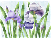 Springtime Irises Digital Art by Snow Iris Studio