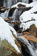 Spruce Peak Falls 4 Photograph by Raymond Salani III