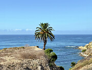 Standing Up Photograph by Joe Schofield