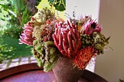 Stellenbosch Bloom Photograph by Travel Essayist