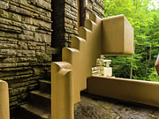Steps at Falling Waters Photograph by Louis Dallara