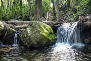 Stony Fork Photograph by Steven Nelson