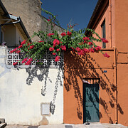 Street Flowers Photograph by Steven Nelson