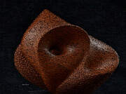 Study of Abstract Form Drawing by Rafael Salazar