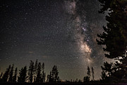 Summer Milky Way Night Photograph by Web Browning