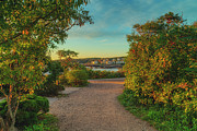 Autumn Sky on Marginal Way Photograph by Penny Polakoff
