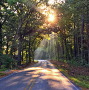 Sunlit Road Photograph by Greg Lane