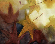 Sunny Autumn Sweet Gum Leaves Painting by Elizabeth Reich