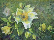 Sunny Painting by Sybil Riead