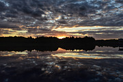 Sunrise at Green Cay in Boynton Beach Florida Photograph by David McKinney