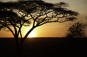 Sunrise in Africa Photograph by Alberto Audisio