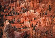 Sunrise Over Queens Garden Bryce Canyon Photograph by Rebecca Herranen