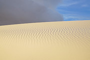 Sunrise Sand Patterns 2 Photograph by Sunniye Buesing