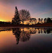 Sunrise Silhouettes Photograph by Greg Lane