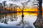 Sunset at Reelfoot Lake in Tennessee Photograph by Jimmy Pappas