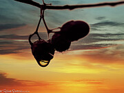 Sunset Droplet Photograph by Robert Niemeier