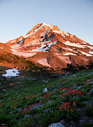 Sunset on Mt. Hood Photograph by Russell Wells