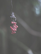 Suspended Animation Photograph by Gian Smith