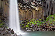 Svartifoss waterfall and basalt columns, Skaftafell national park, Iceland Photograph by Neale And Judith Clark