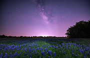 Sweet Dreams Are Made of These Photograph by KC Hulsman